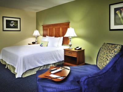 Hotel Hampton & Atlanta-six Flags 3*